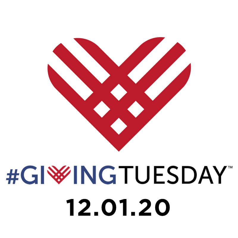 Giving Tuesday 2020 | Donate to The Shelby Foundation Giving Tuesday 2020