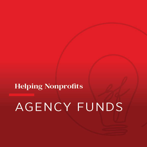 Agency Funds | The Shelby Foundation